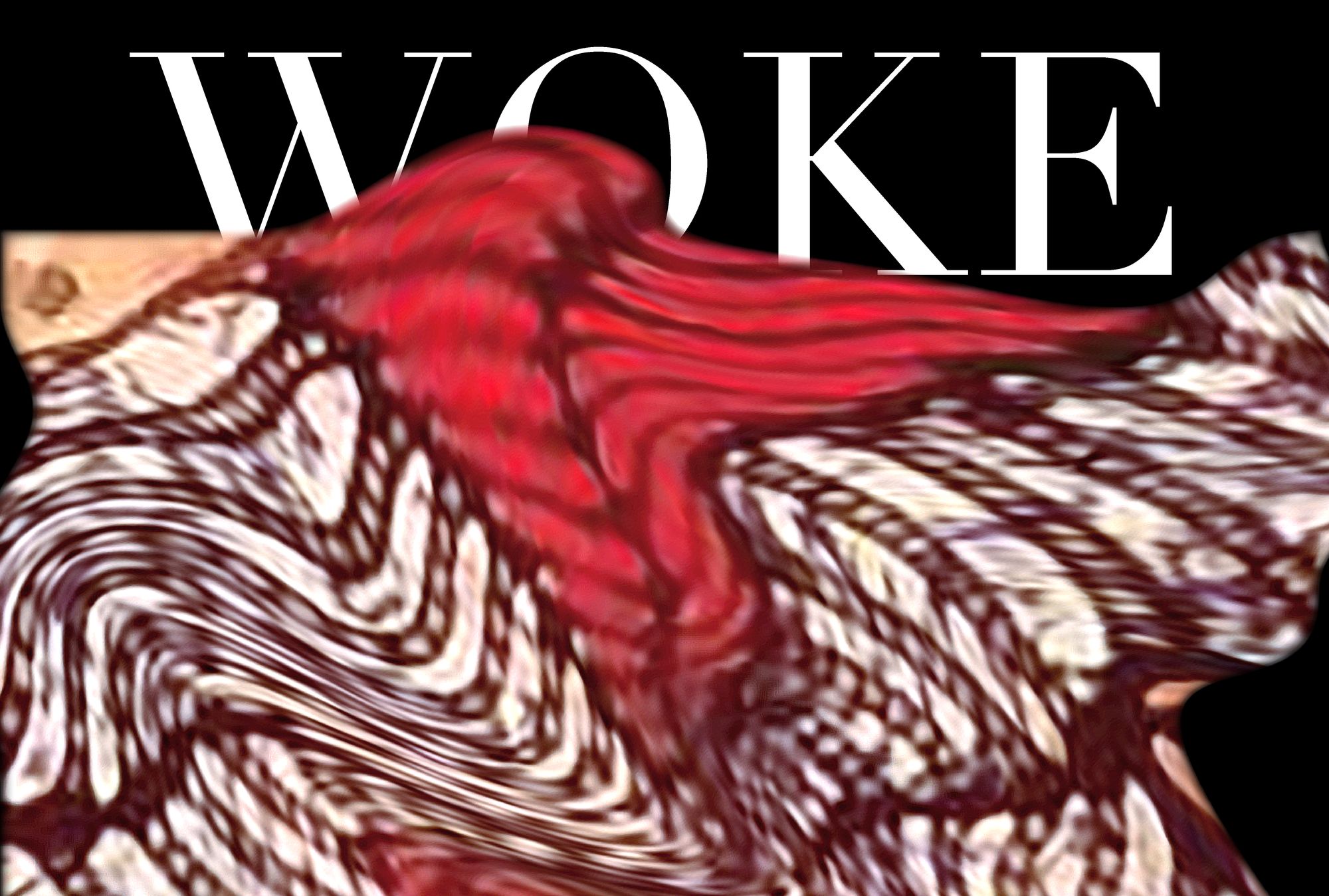 Wokefishing