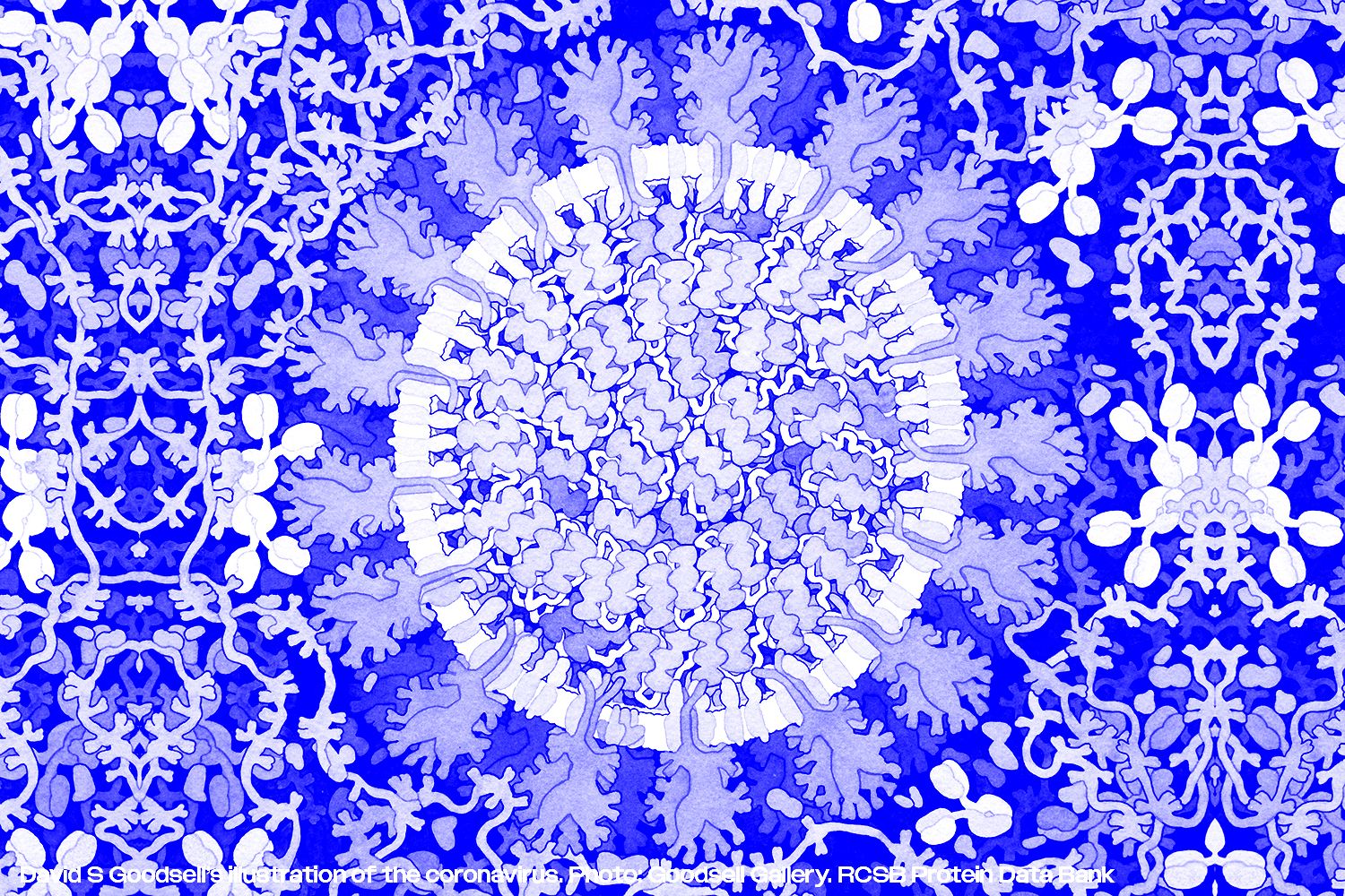 Visualizing the Invisible